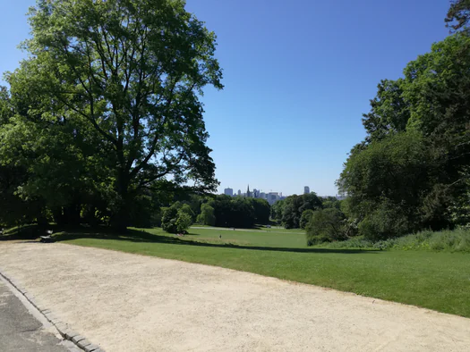 Brussels (Belgium)